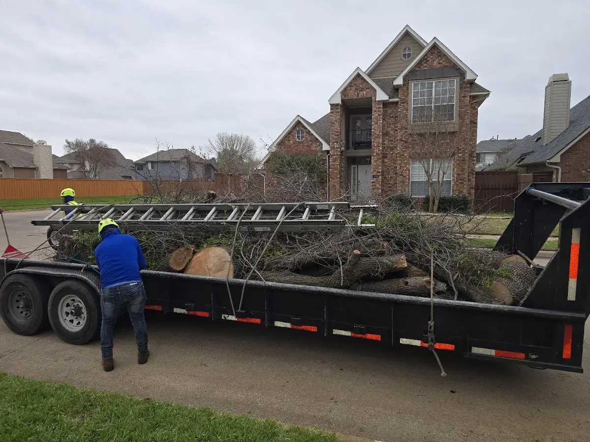Expert Tree Pest Control with proper safety equipment in Canaseraga